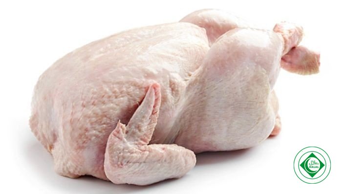 Live Chicken  65 Cut  1.8 kg